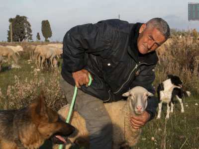 E proprio in quel momento all�uomo si avvicina affettuosa una pecorella. �Questa � Rosy � ci dice orgoglioso il 60enne - � cresciuta senza mamma. L�ho accudita io sin dalla nascita dandole il latte con il biberon�